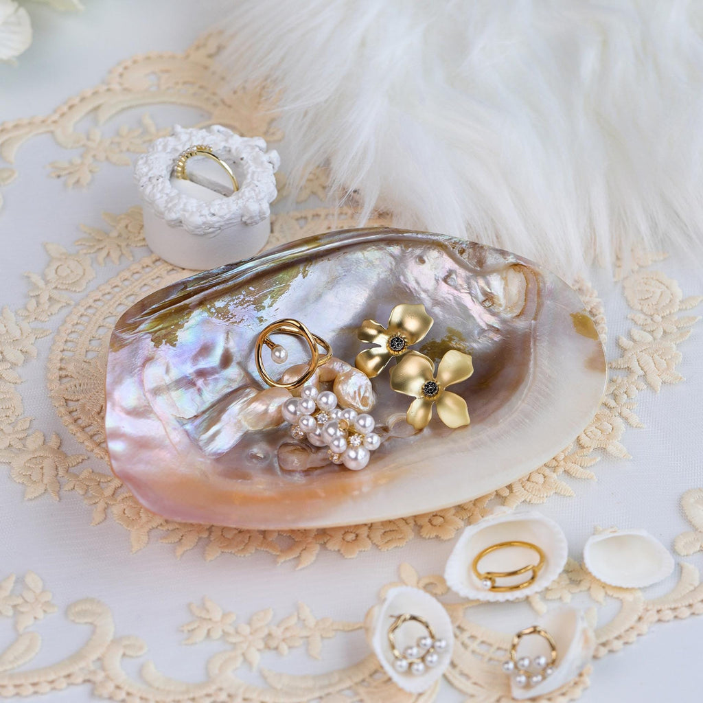 Seashell Jewelry Display: Handmade Conch Ring/Earring Holder