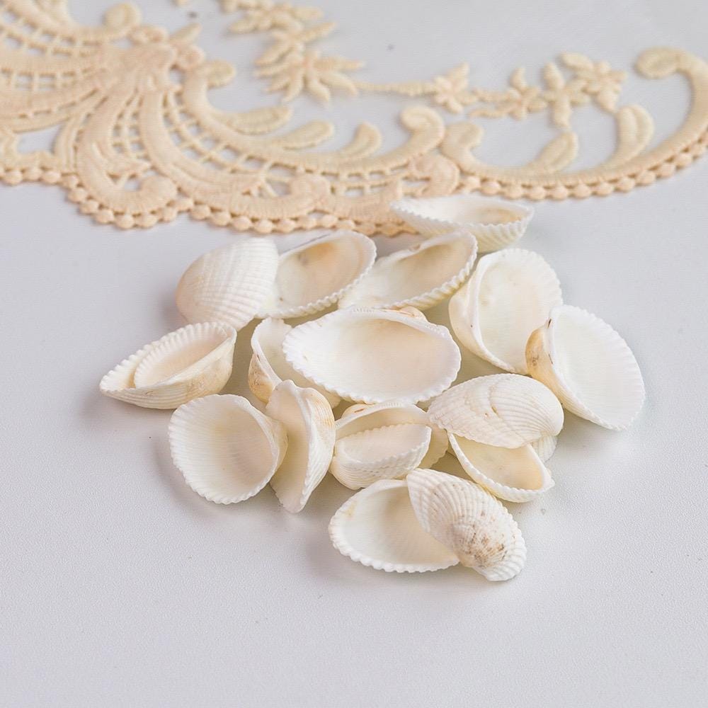 Seashell Jewelry Display: Handmade Conch Ring/Earring Holder