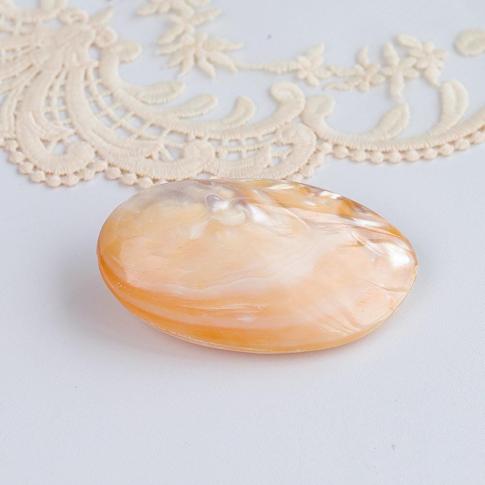 Seashell Jewelry Display: Handmade Conch Ring/Earring Holder