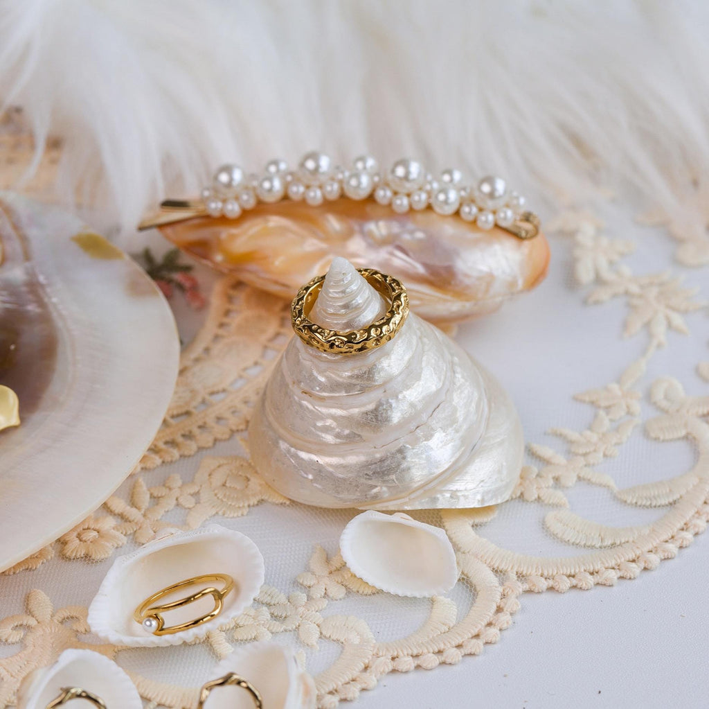 Seashell Jewelry Display: Handmade Conch Ring/Earring Holder