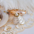 Seashell Jewelry Display: Handmade Conch Ring/Earring Holder